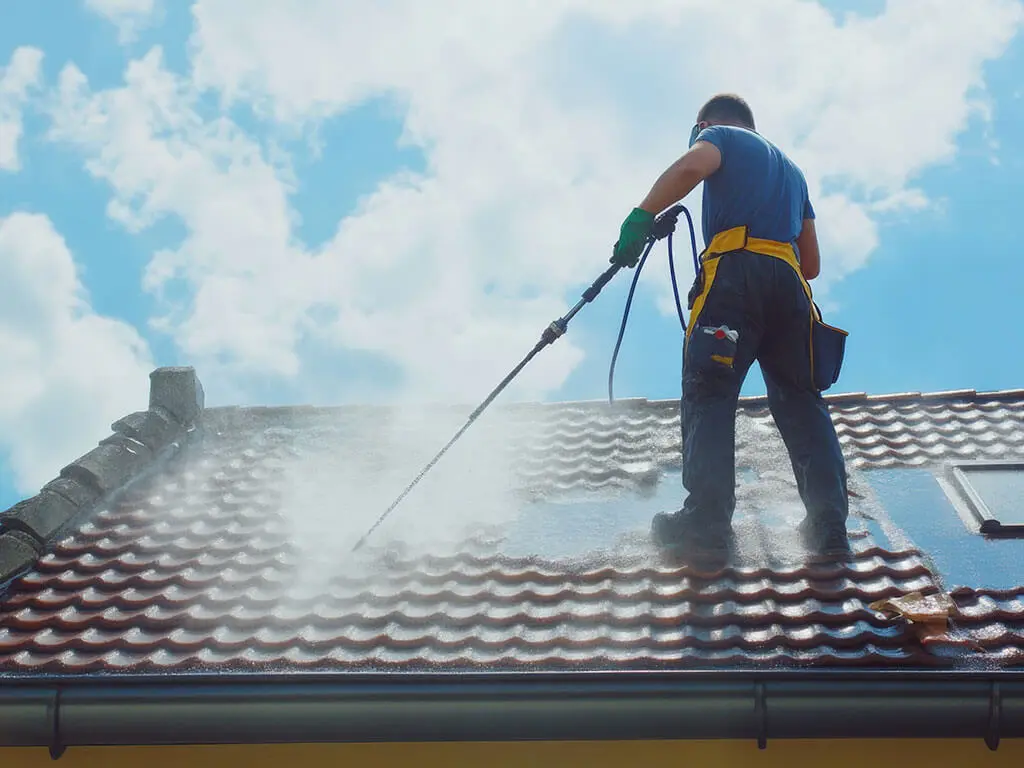 Entretien et démoussage